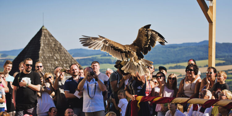 Hradné slávnosti 2017 (9)