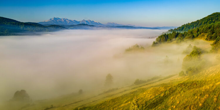 PIEN3639-RAF_DxO_DeepPRIME