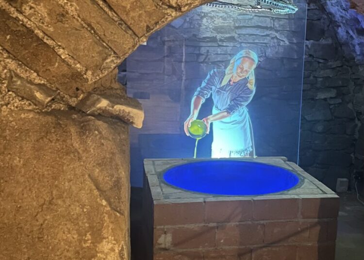 modrotlač_Dom mešťana